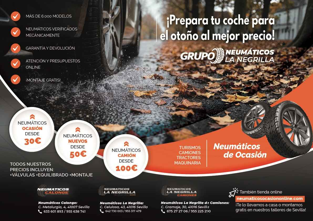 neumaticos de camiones